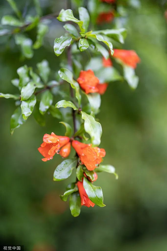 png电子游戏(中国集团)官方网站