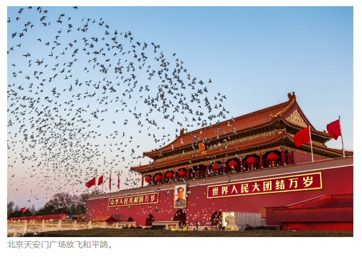 png电子游戏(中国集团)官方网站