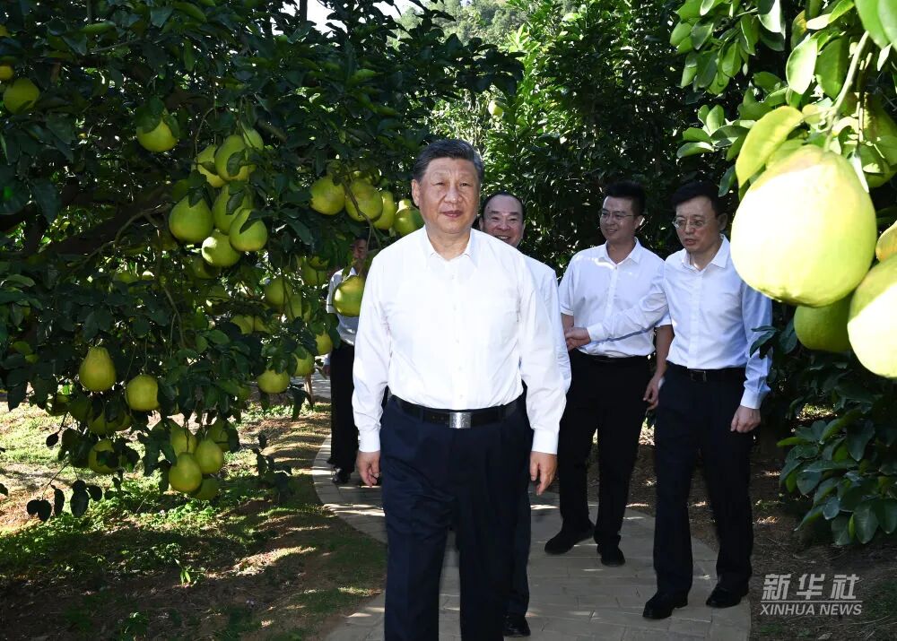 png电子游戏(中国集团)官方网站